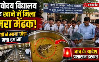 महराजगंज के जवाहर नवोदय विद्यालय में छात्रों को परोसे गए भोजन में मरा हुआ मेंढक मिलने की घटना का प्रतीकात्मक दृश्य।