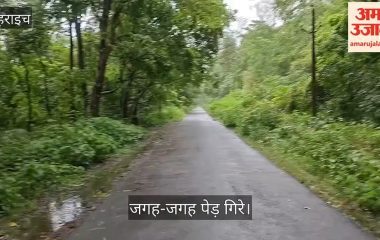 Video: बहराइच में भारी बारिश और तेज हवाओं से जनजीवन अस्तव्यस्त, जगह-जगह पेड़ गिरे