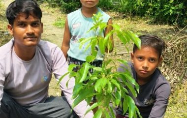 हरदोई में दिया पर्यावरण संरक्षण का संदेश:पर्वतारोही अभिनीत ने जन्मदिन पर लगाया पौधा, युवाओं से की अपील