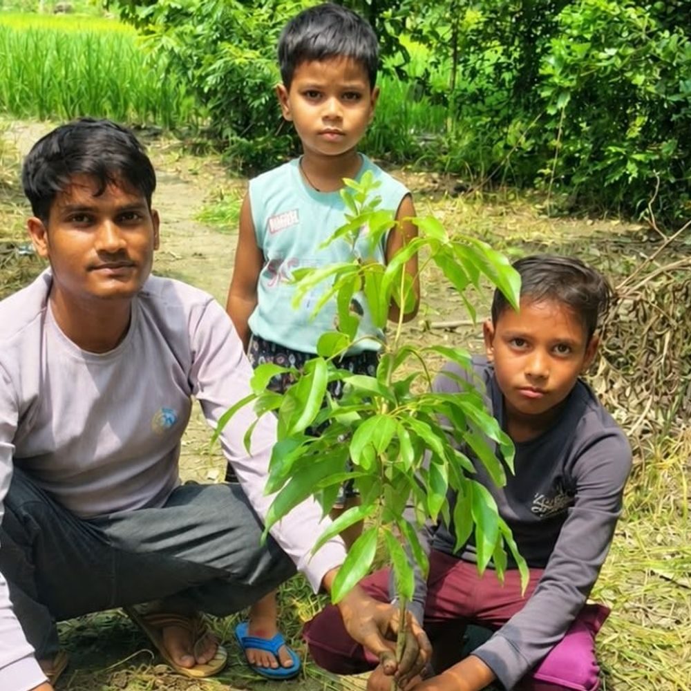 हरदोई में दिया पर्यावरण संरक्षण का संदेश:पर्वतारोही अभिनीत ने जन्मदिन पर लगाया पौधा, युवाओं से की अपील