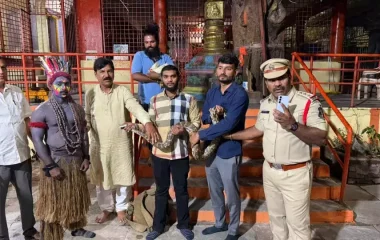 Telangana: नृत्य प्रदर्शन में प्रयुक्त अजगर को जवाहरनगर में बचाया गया