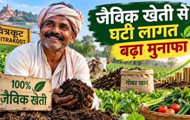 चित्रकूट में जैविक खेती करते किसान और खेत में जैविक खाद का इस्तेमाल