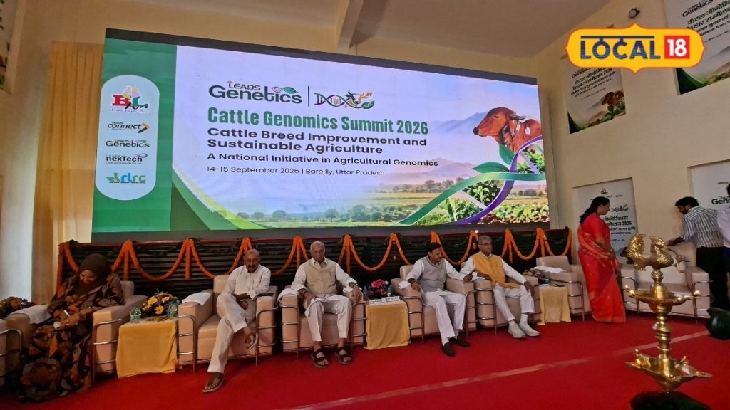 बरेली से श्वेत क्रांति की नई शुरुआत, 1500 करोड़ से तैयार होंगी गाय की बेहतर नस्ल, देंगी 60 लीटर तक दूध