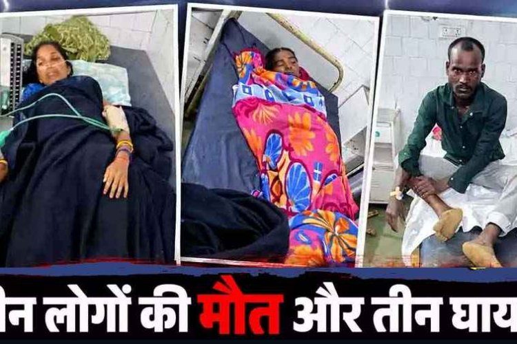आकाशीय बिजली का कहर, बारिश से बचने झोपड़ी में खड़े तीन लोगों की दर्दनाक मौत और 2 महिलाओं समेत 3 घायल, मची अफरा&तफरी, गांव में शोक का माहौल