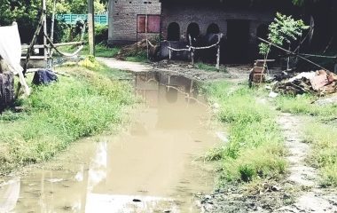 Prayagraj News: गमरहटा गांव में जलभराव से आवागमन प्रभावित