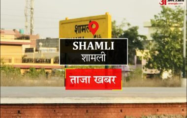 Shamli News: तार चोरी का खेल, जांच के घेरे में कई बिजली कर्मचारी