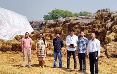 Jind News: पैलेट प्लांटों में पहुंची संयुक्त टीम, पराली स्टॉक की जांच की