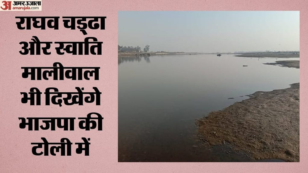 दिल्ली: यमुना की सफाई के लिए 31 घाटों पर आज महाअभियान, मुख्यमंत्री के नेतृत्व में सुबह 8 से 10 बजे तक की मुहिम