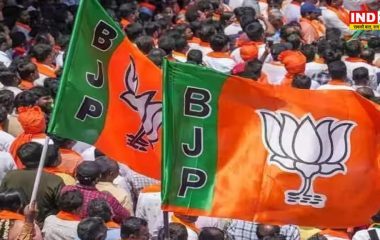 बीजेपी युवा मोर्चा की राष्ट्रीय कार्यकारिणी घोषित,MP के आशीष झाला को राष्ट्रीय मंत्री की जिम्मेदारी, कई राज्यों के नेताओं को मिली जगह