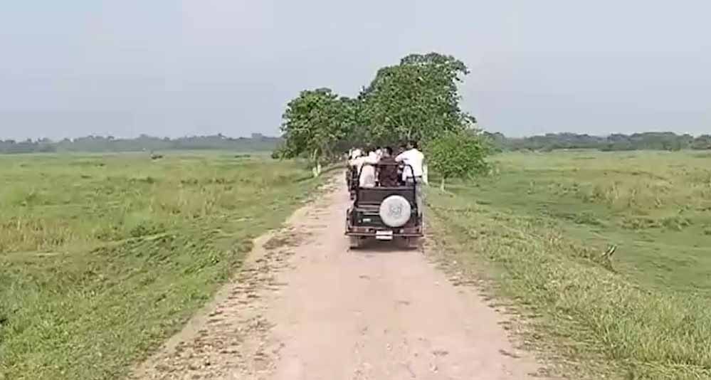 असम के जंगलों में लौटी रौनक, मानस-काजीरंगा में सफारी शुरू; 13 अक्टूबर को खुलेगा पोबितोरा