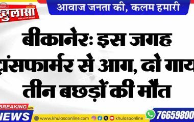 बीकानेर: इस जगह ट्रांसफार्मर से आग, दो गाय, तीन बछड़ों की मौत