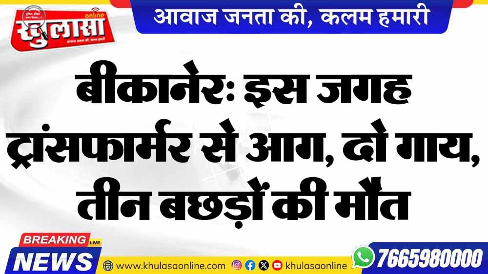 बीकानेर: इस जगह ट्रांसफार्मर से आग, दो गाय, तीन बछड़ों की मौत