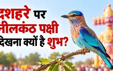 Dussehra 2026: दशहरे पर दिख जाए यह नीले रंग का पक्षी तो माना जाता है बेहद शुभ, भगवान राम से जुड़ी है खास मान्यता