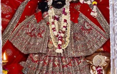 जय श्री बाँके बिहारी लाल जी