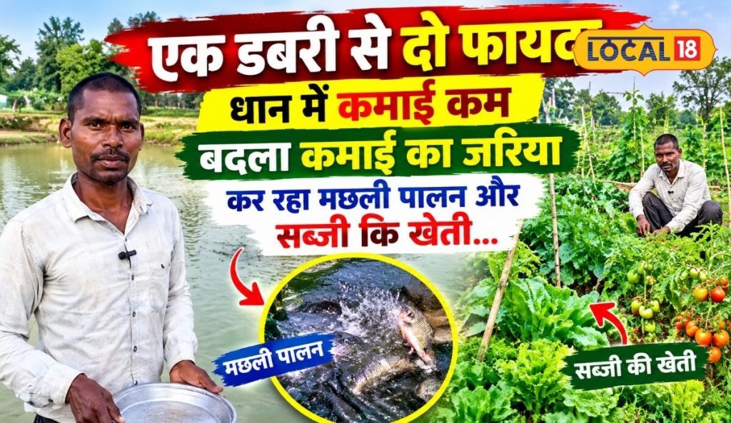 धान से नहीं बनी बात तो डबरी में उतारी मछलियां, किसान शिव बालक ने पहली बार में ही कमाए 20-25 हजार रुपये