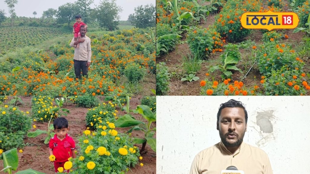 त्योहारों में बढ़ी फूलों की मांग, गुलाब-झेंडू की खेती से किसान बना सकते हैं बंपर कमाई; 2 बातों का रखें ध्यान