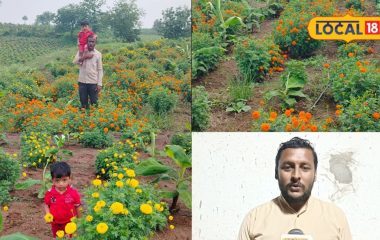 त्योहारों में बढ़ी फूलों की मांग, गुलाब-झेंडू की खेती से किसान बना सकते हैं बंपर कमाई; 2 बातों का रखें ध्यान