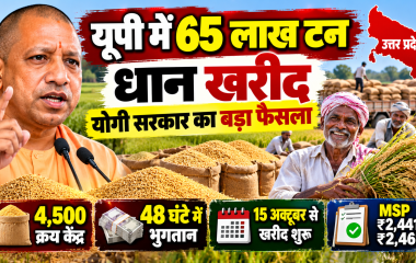 UP Paddy Procurement 2026-27: योगी सरकार ने तय किया 65 लाख मीट्रिक टन धान खरीद का लक्ष्य, किसानों को 48 घंटे में भुगतान