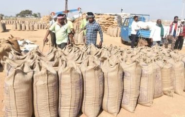 किसानों के लिए जरूरी खबर, संयुक्त खाते में एक ही पंजीयन से खरीदा जाएगा धान