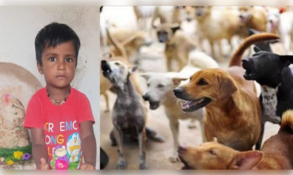 कुत्ते से बचने की कोशिश में उबलते दूध से झुलसी 3 साल की मासूम