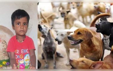 कुत्ते से बचने की कोशिश में उबलते दूध से झुलसी 3 साल की मासूम