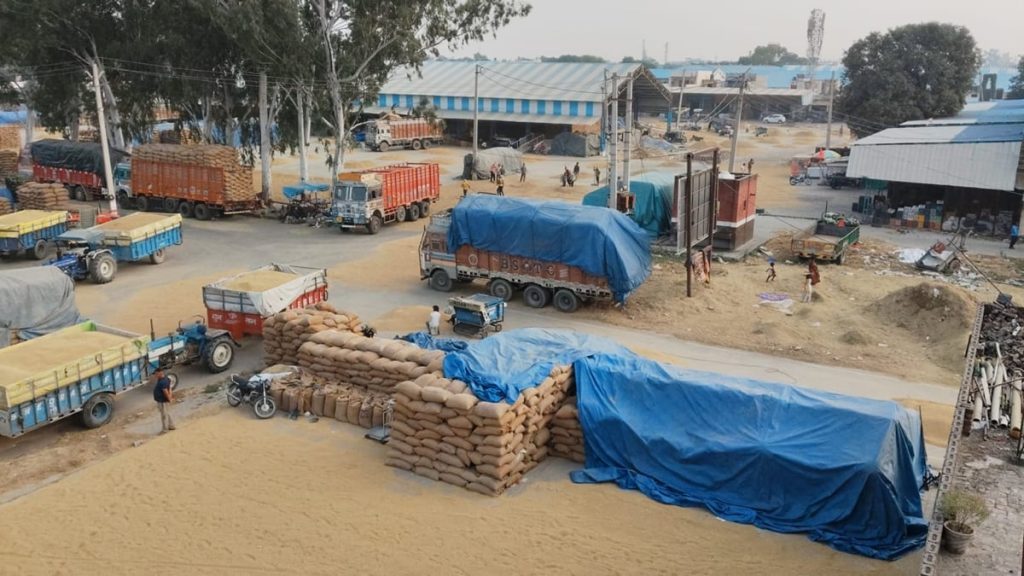 Yamuna Nagar News: उठान के इंतजार में 32 प्रतिशत धान, जगह नहीं मिलने से किसान परेशान