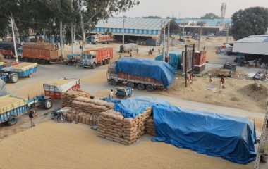 Yamuna Nagar News: उठान के इंतजार में 32 प्रतिशत धान, जगह नहीं मिलने से किसान परेशान